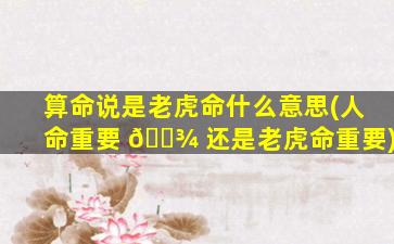 算命说是老虎命什么意思(人命重要 🌾 还是老虎命重要)